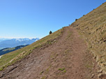 ...und steigen über den breiten Fahrweg bergauf