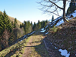 ...und erreichen einen Karrenweg, dem wir zurück zum Aufstiegsweg folgen