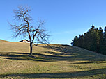 Nach dem Gatter steuern wir auf die Staudinger Alm zu