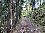 ...und erreichen über den Waldweg...