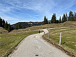 Der breite Weg leitet uns zu einem Querweg
