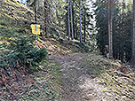 ...und folgen diesem zurück zum kleinen Waldpfad