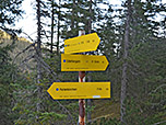 Hier kann man einen Abstecher zur Esterbergalm unternehmen oder den direkten Abstieg einschlagen