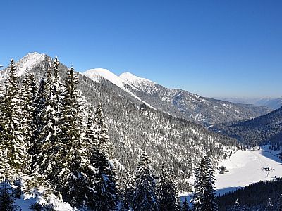 Hoher Fricken, Bischof und Krottenkopf