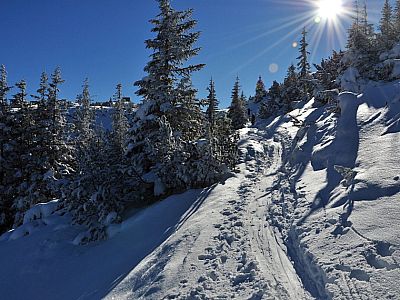 geht es bequem auf den Sattel...