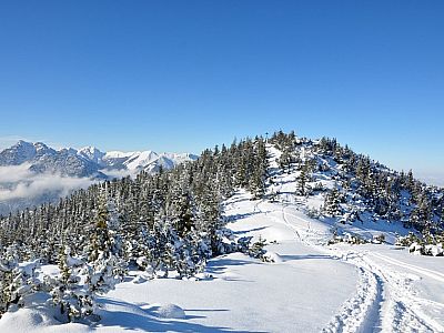 Blick zurück zum Eckenberg