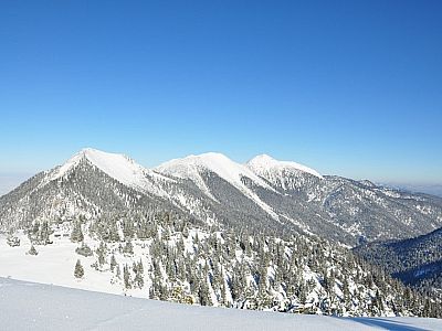 Im Norden: Hoher Fricken, Bischof und Krottenkopf