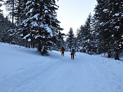 Nach der Kurve können die Ski wieder angeschnallt werden