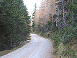 Der Anstieg zum Lehnberghaus führt über einen breiten Forstweg