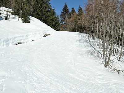 gewinnen weiter an Höhe.