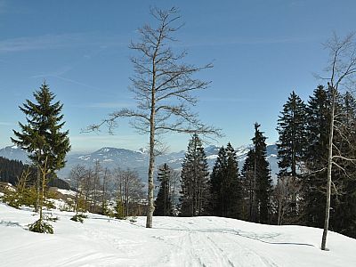 Es wird immer sonniger