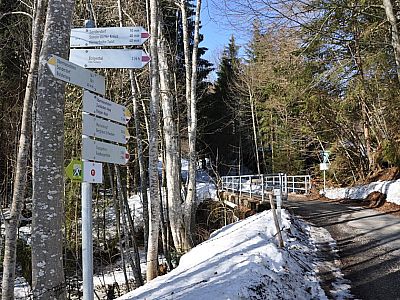 auf Teer bis zu einer Brücke.