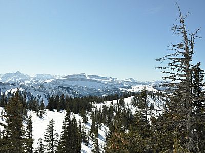Blick vom Gipfel zum Hohen Ifen (2229 m)