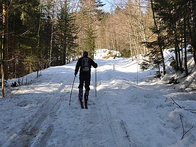 Wir folgen einem Forstweg...