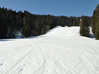 Die freien Flächen werden häufiger...
