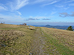 ...und wandern nordwärts...