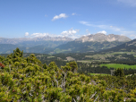 Noch einmal können wir den Blick auf die Rosengarten- und Latemar-gruppe  genießen