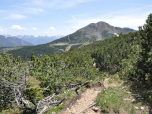 Durch die Latschen geht es auf das Schwarzhorn zu