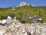 Wir verlassen nach links den Höhenweg