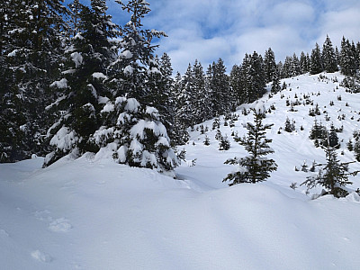 Kurz wird es auf der Schulter ein wenig flacher