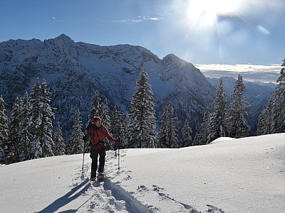 Durch offenes Gelände steigen wir weiter auf