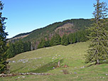 Rückblick zum Abzweig auf der Dalsenalm