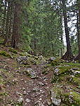 Und es geht nochmals durch Wald...
