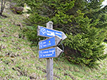 Kurz darauf treffen wir auf den Weg, der von Osterhofen herauf führt