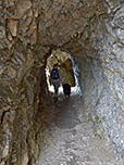 ...und spazieren durch einen Tunnel