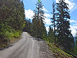 Über einen breiten Forstweg...