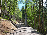 ...wandern wir in moderater Steigung bergauf...