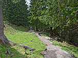...bringt uns der Weg bergab Richtung Elbachalm