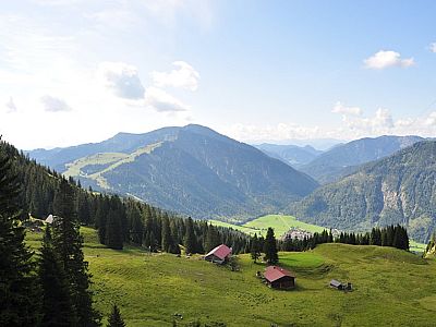 Die Wendelsteinalmen von oben