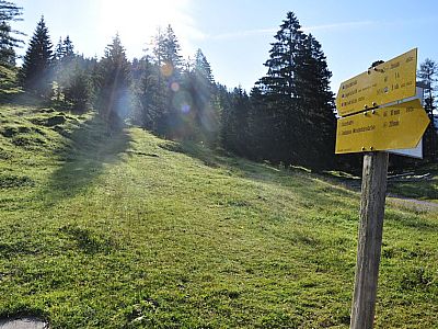 Zum Wendelstein über die Wiese