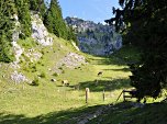 Blick zum Gipfel