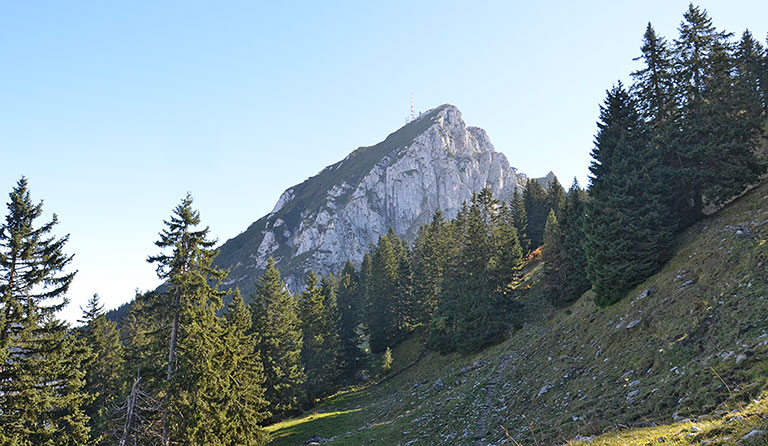 Wendelstein (1838 m) - Nordroute vom Jenbachtal