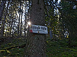 ...und wählen so den Aufstieg über die Aiblinger Hütte