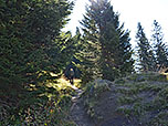 ...zu einem Wiesensattel