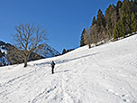 Nach dem Bergheim Unterjoch peilen wir den Waldrand vor uns an