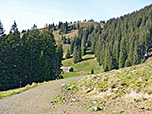 ...bis kurz vor die Brentenalpe