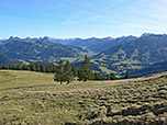 Blick aufs Tannheimer Tal und zu den Tannheimer Bergen