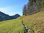 ...und steigen im Anschluss über den Wiesenpfad...