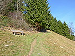 ...zum Waldrand hinauf
