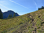 ...und wandern über den Wiesenhang...