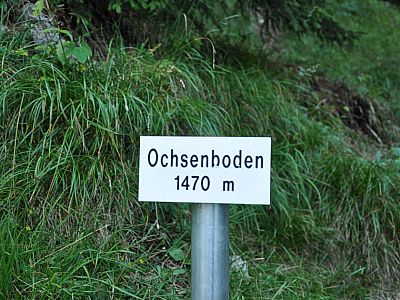 Ab hier gehts nur noch bergab