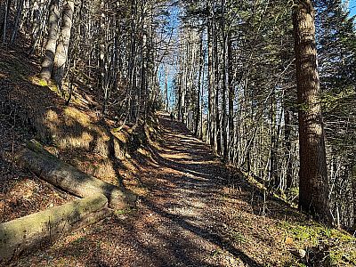 ...treffen wir auf einen Karrenweg