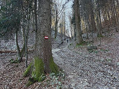 Nach einem Linksbogen geht es steiler bergauf