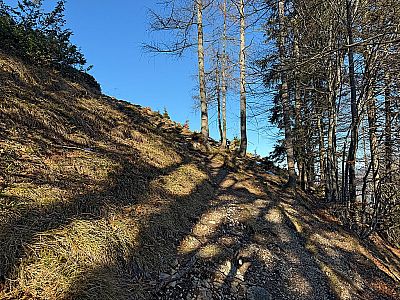 Wir touchieren ein Waldstück...