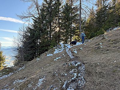 Den Abzweig zur Naringalm...