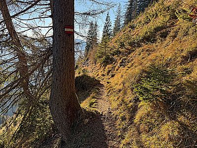 ....leitet uns in südwestlicher Richtung durch ein lichtes Waldstück